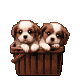 Members